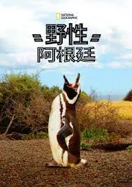 《国家地理 野性阿根廷》：一场震撼心灵的自然史诗，探秘南美最后的秘境！