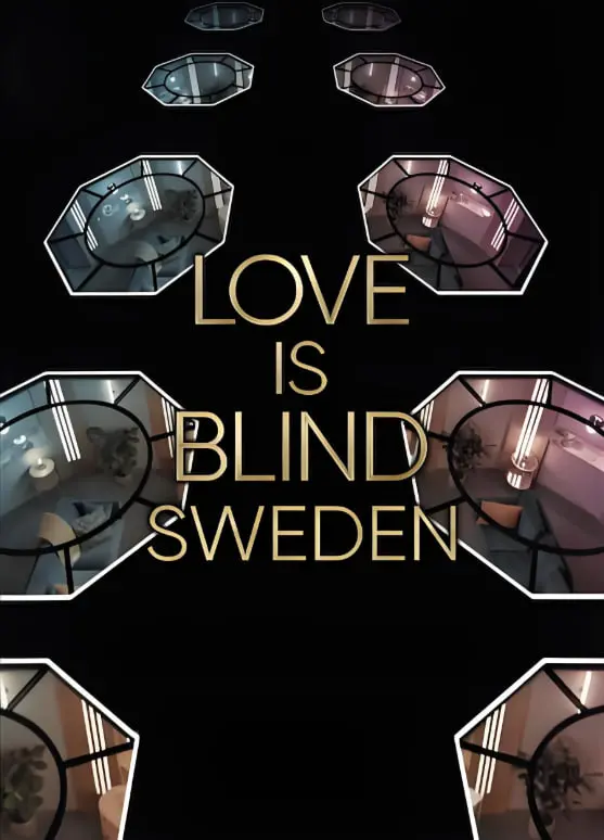 《爱情盲选：瑞典篇》第二季：真爱至上？还是颜值当道？一场盲选引发的恋爱风暴！