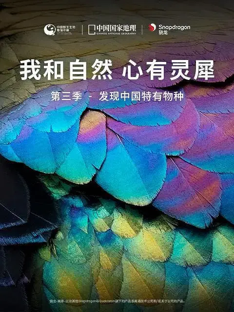 《我和自然 心有灵犀 第三季》：当灵魂与万物对话，生命最纯粹的羁绊，一场关于生存与爱的奇遇